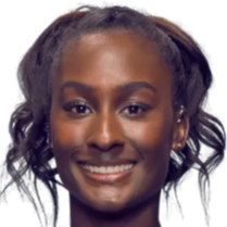 13连胜终 13连胜终